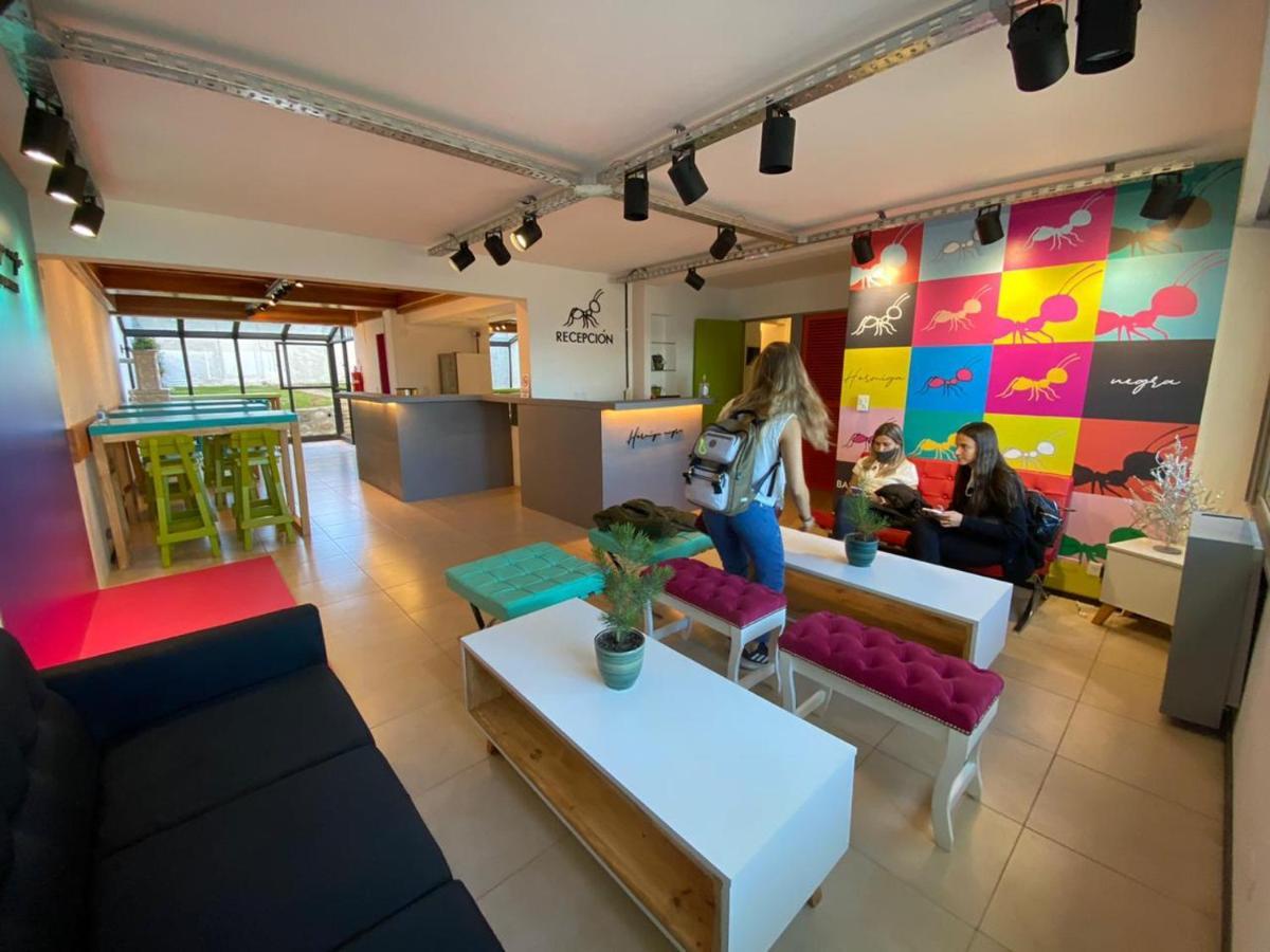 Hostel Hormiga Negra サンカルロスデバリローチェ エクステリア 写真